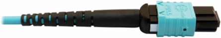 Fiber Optic Cable, 400G Multimode OM4 Plenum-Rated, 24F MTP/MPO-PC (F/F), Aqua, 10 m