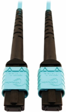 Fiber Optic Cable, 400G Multimode OM4 Plenum-Rated, 24F MTP/MPO-PC (F/F), Aqua, 10 m