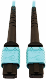 Fiber Optic Cable, 400G Multimode OM4 Plenum-Rated, 24F MTP/MPO-PC (F/F), Aqua, 10 m
