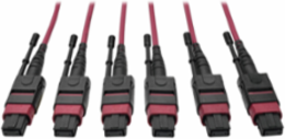 15 Meter Multimode Base-8 Trunk Cable, 40/100G OM4, Magenta, 8 Fibers
