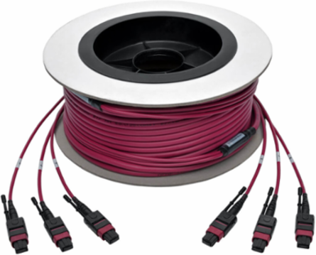 Multimode Base-8 Trunk Cable 24-Strand 40/100Gb OM4 Magenta 75 ft.