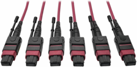 Multimode Base-8 Trunk Cable 24-Strand 40/100Gb OM4 Magenta 75 ft.