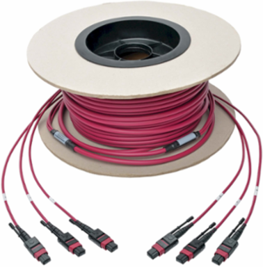 MTP/MPO 24-Strand Multimode Trunk Cable, 61 m (200 ft), OM4, Magenta