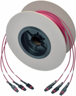 MTP/MPO 24-Strand Multimode Trunk Cable, 61 m (200 ft), OM4, Magenta