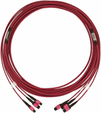 Fiber Optic Cable, 40/100/400G Multimode OM4, 3x8F MTP/MPO-PC (F/F), LSZH, Magenta, 10 m