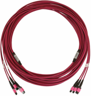 Fiber Optic Cable, 40/100/400G Multimode OM4, 3x8F MTP/MPO-PC (F/F), LSZH, Magenta, 15 m