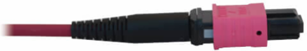 Fiber Optic Cable, 40/100/400G Multimode OM4, 3x8F MTP/MPO-PC (F/F), LSZH, Magenta, 15 m