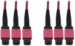 Fiber Optic Cable, 40/100/400G Multimode OM4, 3x8F MTP/MPO-PC (F/F), LSZH, Magenta, 15 m