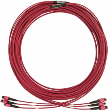Fiber Optic Cable, 40/100/400G Multimode OM4, 3x8F MTP/MPO-PC (F/F), LSZH, Magenta, 23 m