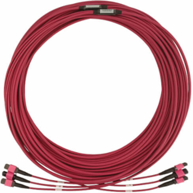 Fiber Optic Cable, 40/100/400G Multimode OM4, 3x8F MTP/MPO-PC (F/F), LSZH, Magenta, 30 m