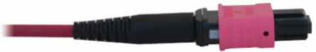 Fiber Optic Cable, 40/100/400G Multimode OM4, 3x8F MTP/MPO-PC (F/F), LSZH, Magenta, 30 m