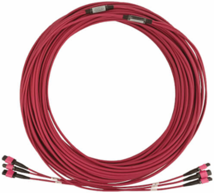 Fiber Optic Cable, 40/100G Multimode OM4, 3x8F MTP/MPO-PC (F/F), LSZH, Magenta, 38 m