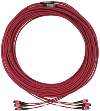 Fiber Optic Cable, 40/100/400G Multimode OM4, 3x8F MTP/MPO-PC (F/F), LSZH, Magenta, 45 m