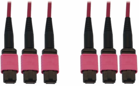 Fiber Optic Cable, 40/100/400G Multimode OM4, 3x8F MTP/MPO-PC (F/F), LSZH, Magenta, 45 m