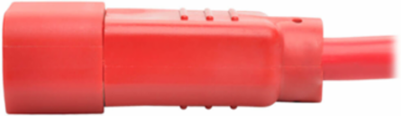 Power Cord C14 to C15, 14 AWG, 2 Ft., 15A, 250V, Red