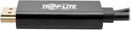 4K HDMI to DisplayPort Active Adapter, 6 Inch, USB Power, 30Hz, HDCP 1.3