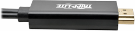 4K HDMI to DisplayPort Active Adapter, 6 Inch, USB Power, 30Hz, HDCP 1.3