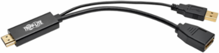 4K HDMI to DisplayPort Active Adapter, 6 Inch, USB Power, 30Hz, HDCP 1.3