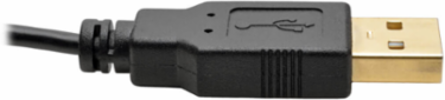 4K HDMI to DisplayPort Active Adapter, 6 Inch, USB Power, 30Hz, HDCP 1.3