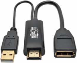 4K HDMI to DisplayPort Active Adapter, 6 Inch, USB Power, 30Hz, HDCP 1.3