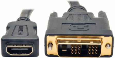 HDMI to DVI Adapter Cable, 8 Inch, Supports 1920x1200 and 1920x1080 Resolutions