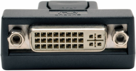 DisplayPort 1.2 to DVI Adapter Converter (M/F) - Passive, Black