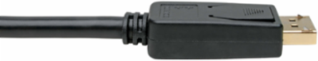 DisplayPort to DVI Video Converter, 1 ft., 1080p, Black