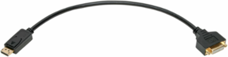 DisplayPort to DVI Video Converter, 1 ft., 1080p, Black