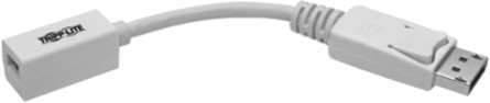 4K DisplayPort to Mini DisplayPort Adapter, 6 Inch, Supports 3840 x 2160 @ 60Hz
