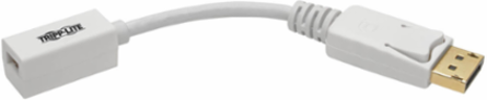 4K DisplayPort to Mini DisplayPort Adapter, 6 Inch, Supports 3840 x 2160 @ 60Hz