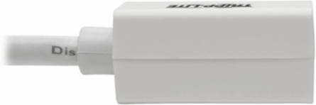 4K DisplayPort to Mini DisplayPort Adapter, 6 Inch, Supports 3840 x 2160 @ 60Hz