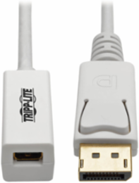 4K DisplayPort to Mini DisplayPort Adapter, 6 Inch, Supports 3840 x 2160 @ 60Hz