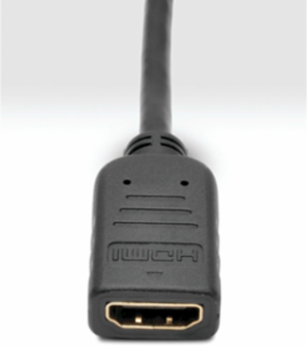 DisplayPort to HDMI Adapter, 6 Inch, 1920x1200, Supports 7.1 Audio