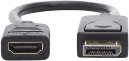 DisplayPort to HDMI Adapter, 1 ft, 1080p, HDCP, Black