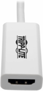 DisplayPort to HDMI Active Adapter 4K 60Hz, 6 Inch, Male to Female
