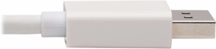 DisplayPort to HDMI Adapter, 4K @ 60Hz, 6 Inch, Active with HDR