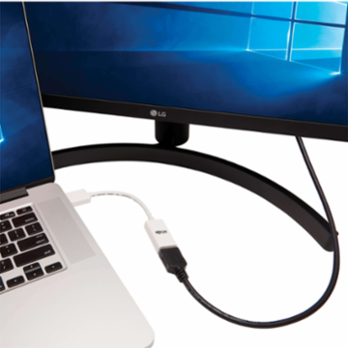 DisplayPort to HDMI Adapter, 4K @ 60Hz, 6 Inch, Active with HDR