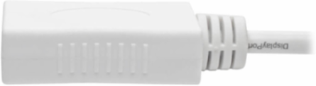 Mini DisplayPort to DisplayPort Adapter, 10 ft, 4K 60Hz, DP 1.2a