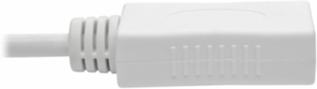 Mini DisplayPort to DisplayPort Adapter, 10 ft, 4K 60Hz, DP 1.2a