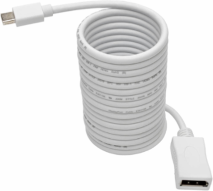 Mini DisplayPort to DisplayPort Adapter, 10 ft, 4K 60Hz, DP 1.2a