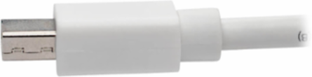 Mini DisplayPort to DisplayPort Adapter, 10 ft, 4K 60Hz, DP 1.2a