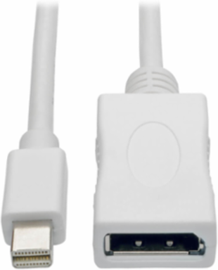 Mini DisplayPort to DisplayPort Adapter, 10 ft, 4K 60Hz, DP 1.2a