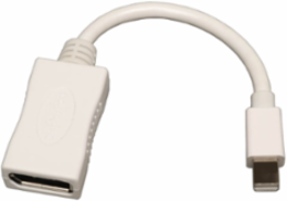 Mini DisplayPort to DisplayPort Adapter, 0.5 Ft, 2560x1600 @ 60Hz