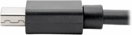Mini DisplayPort to DisplayPort Adapter, 4K @ 60 Hz, 6 Inch