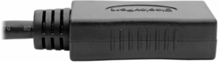 Mini DisplayPort to DisplayPort Adapter, 4K @ 60 Hz, 6 Inch