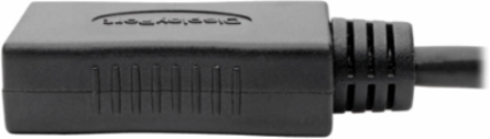 Mini DisplayPort to DisplayPort Adapter, 4K @ 60 Hz, 6 Inch