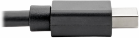 Mini DisplayPort to DisplayPort Adapter, 4K @ 60 Hz, 6 Inch