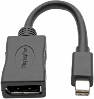 Mini DisplayPort to DisplayPort Adapter, 4K @ 60 Hz, 6 Inch