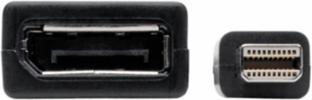 Mini DisplayPort to DisplayPort Adapter, 4K @ 60 Hz, 6 Inch