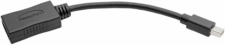 Mini DisplayPort to DisplayPort Adapter, 4K @ 60 Hz, 6 Inch